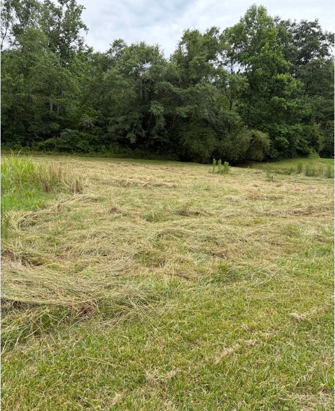 Hay Season - 7/20/26