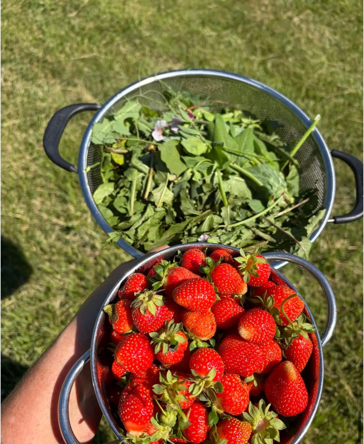 Mother’s Day Salad