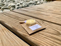 Lotion Bar